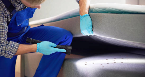 Pest Prevention Services in Picacho Hills, NM