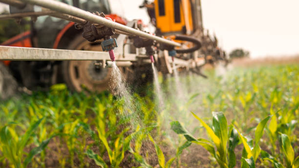 Best Best Pest Control Companies  in Picacho Hills, NM